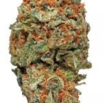 AK 47 STRAIN AK-47 STRAIN AK 47 (F) Feminized Seeds Cherry AK-47 Strain ak-47 strain, The Oligarch, gel blaster ak-47, ak-47 haze thc-gehalt, Sativa-dominanter Hybrid, AK-47 THC-Gehalt