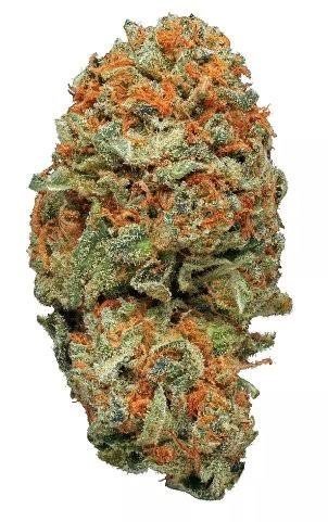 AK 47 STRAIN AK-47 STRAIN AK 47 (F) Feminized Seeds Cherry AK-47 Strain ak-47 strain, The Oligarch, gel blaster ak-47, ak-47 haze thc-gehalt, Sativa-dominanter Hybrid, AK-47 THC-Gehalt