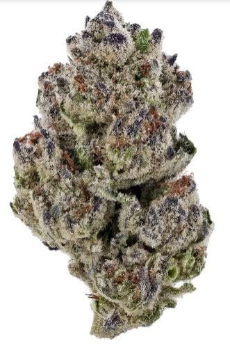 girl scout cookies girl scout strain, girl scout cookies wirkung, girl scout cookies steckling, girl scout cookies blütezeit, girl scout cookies auto, GSC Cannabis