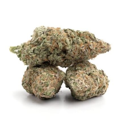 girl scout cookies girl scout strain, girl scout cookies wirkung, girl scout cookies steckling, girl scout cookies blütezeit, girl scout cookies auto, GSC Cannabis