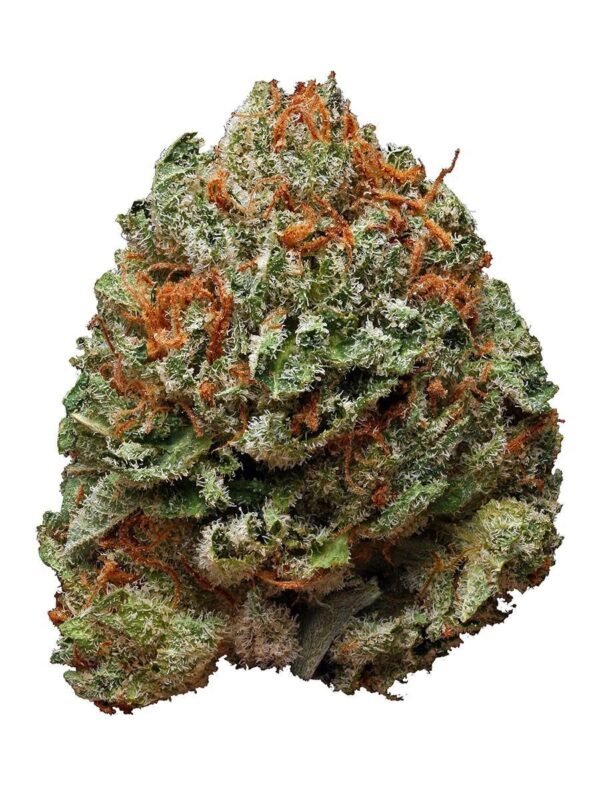 Bubba Kush strain Bubba Kush wirkung Bubba Kush demecan typ 1 bubba kush Jack Herer outdoor