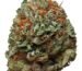 Bubba Kush strain Bubba Kush wirkung Bubba Kush demecan typ 1 bubba kush Jack Herer outdoor