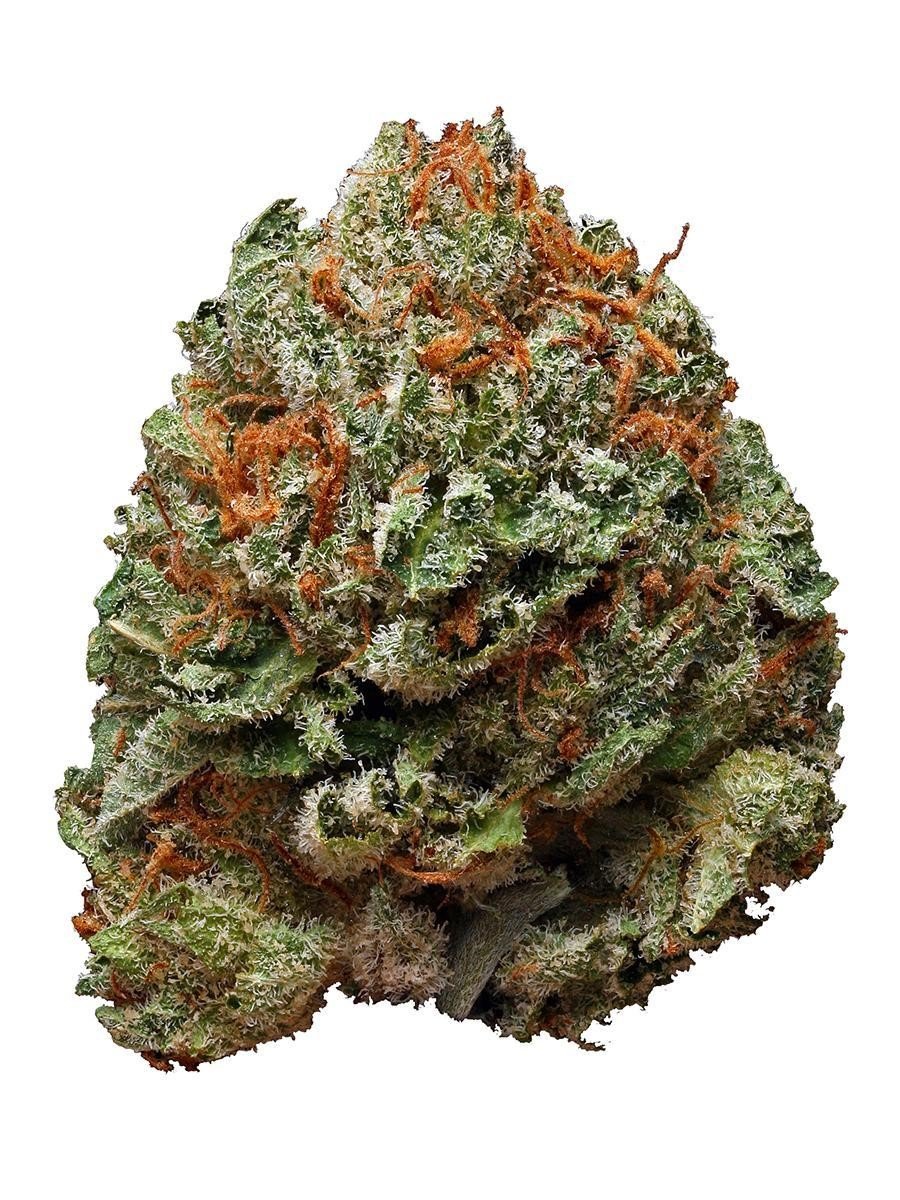 Bubba Kush strain Bubba Kush wirkung Bubba Kush demecan typ 1 bubba kush Jack Herer outdoor