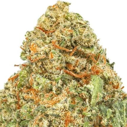 Lemon Haze Super Lemon Haze, Lemon Haze Wirkung, Amnesia Lemon Haze, Super Lemon Haze Wirkung, Super Lemon Haze Greenhouse, Lemon Haze Strain