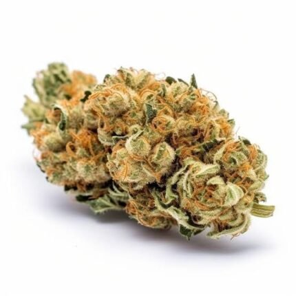 Lemon Haze Super Lemon Haze, Lemon Haze Wirkung, Amnesia Lemon Haze, Super Lemon Haze Wirkung, Super Lemon Haze Greenhouse, Lemon Haze Strain