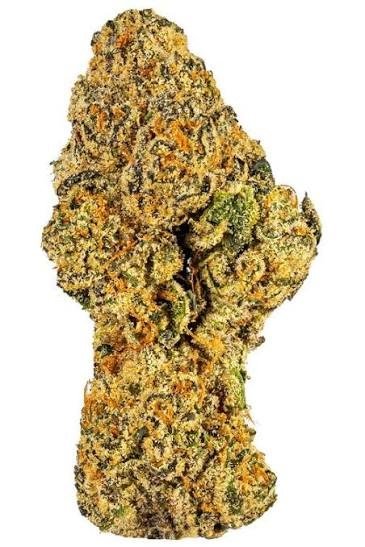 Gushers Gushers strain, Fruit Gushers, Black Cherry Gushers, Black Cherry Gushers strain, Gushers Deutsch, Gushers Candy