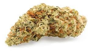 jack herer strain germany